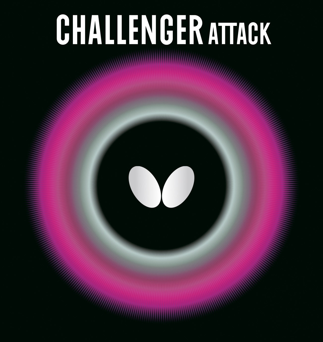 Butterfly Challenger Attack